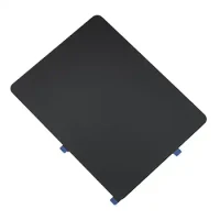 iPad.webp