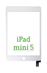 Digitizer z OCA do iPad mini 5 White